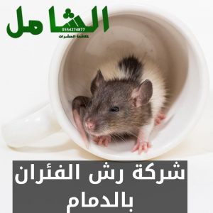 شركة رش الفئران بالدمام