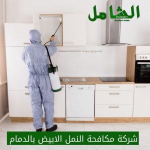 شركة مكافحة النمل الابيض بالدمام