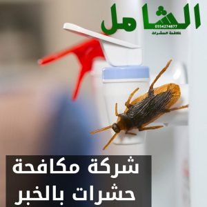 شركة مكافحة حشرات بالخبر