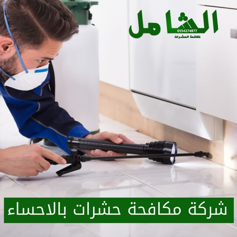 شركة مكافحة حشرات بالاحساء