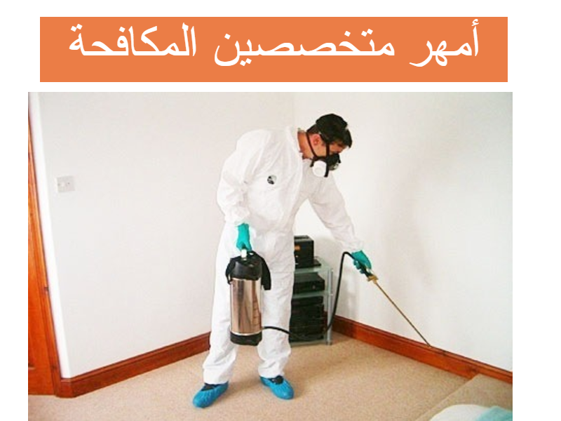 ارخص شركة مكافحة حشرات بالجبيل