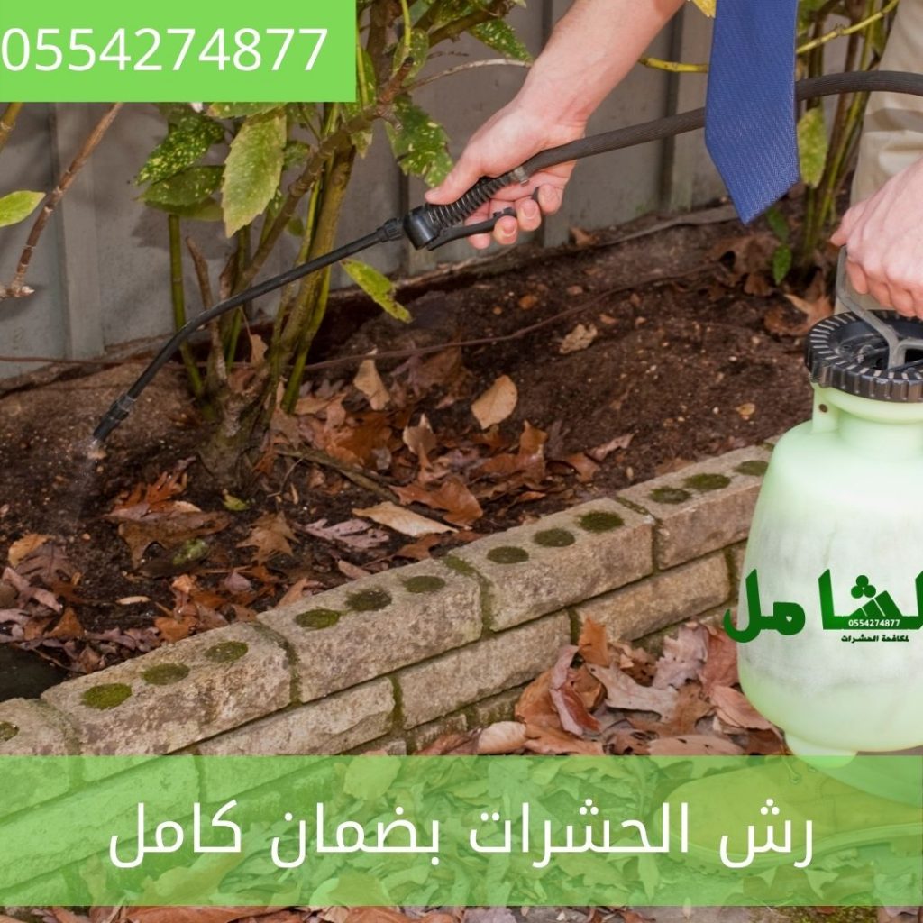 افضل شركة مكافحة حشرات بالظهران