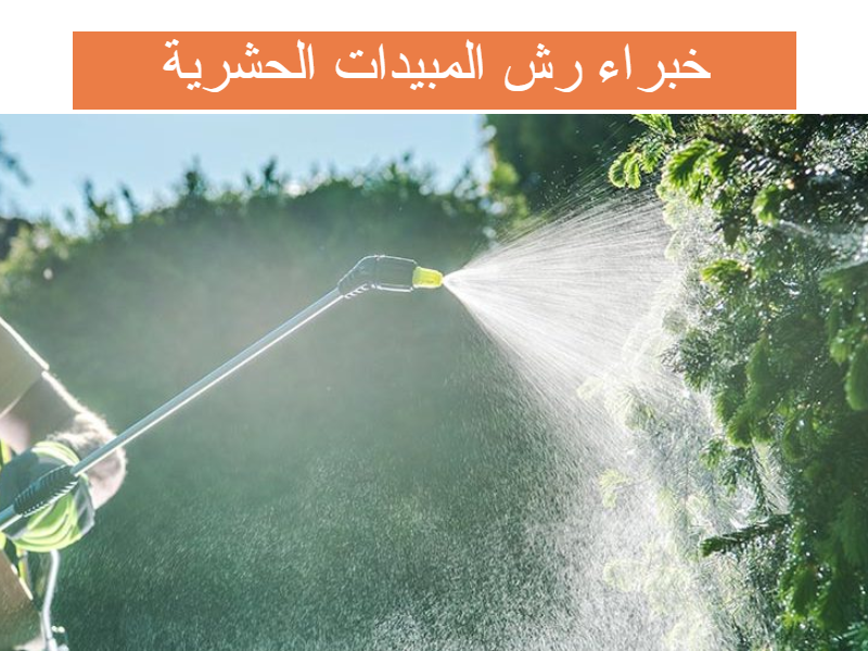 شركة رش مبيدات بالدمام