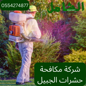  شركة مكافحة حشرات الجبيل بأحدث الاجهزة والمعدات