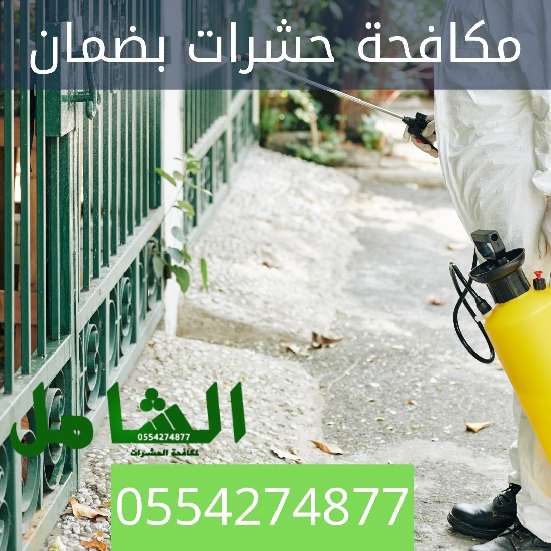 ارخص شركة مكافحة حشرات بالدمام