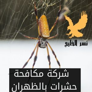 شركة مكافحة حشرات بالظهران .