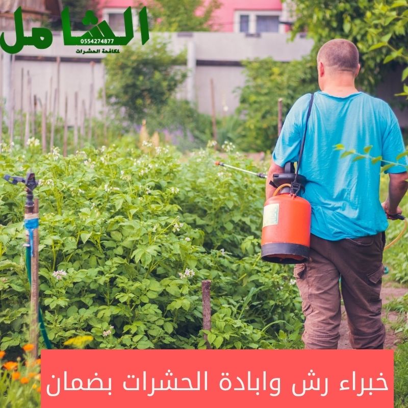 شركة مكافحة حشرات بالدمام