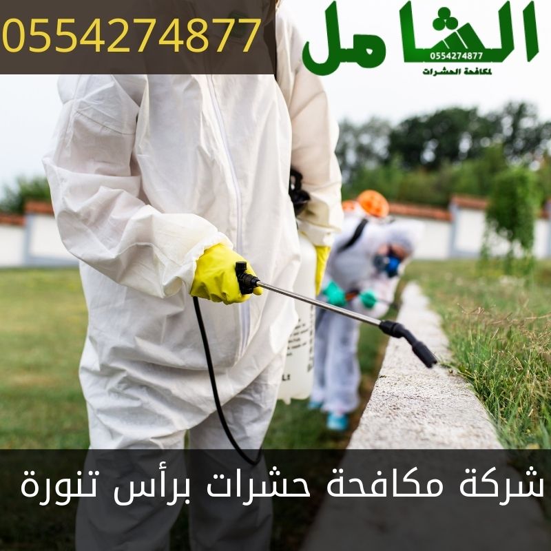 شركة مكافحة حشرات برأس تنورة