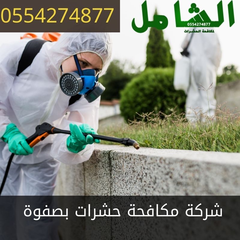 شركة مكافحة حشرات بصفوة