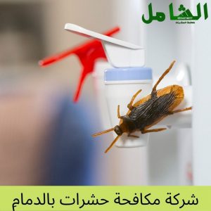 ِشركة مكافحة حشرات بالدمام
