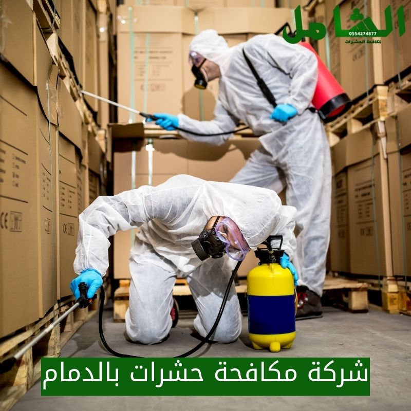 شركة رش حشرات بالدمام: خدمات فعالة لمكافحة الآفات