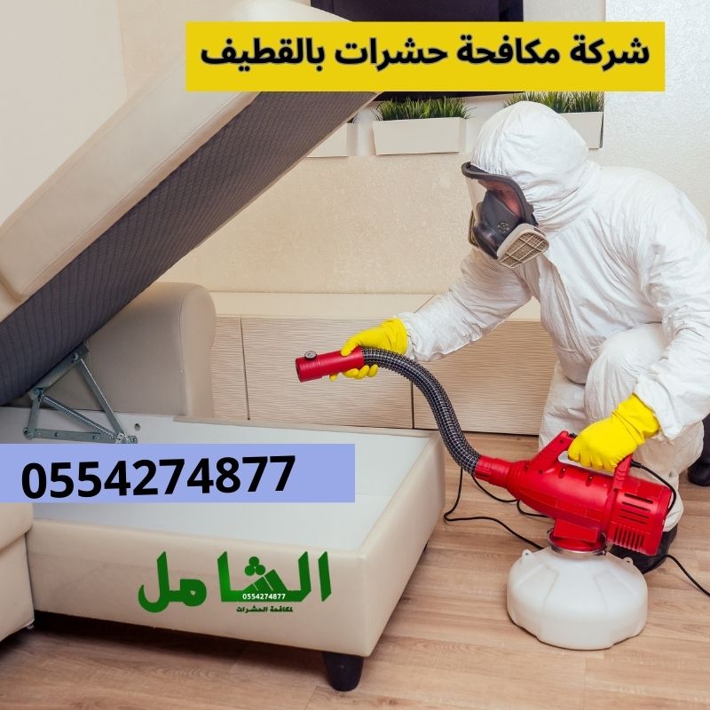 مكافحة حشرات بالقطيف: طرق وأساليب فعالة لحماية منزلك