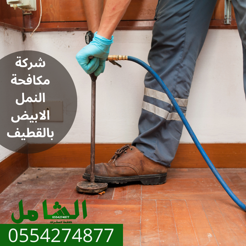شركة مكافحة النمل الابيض بالقطيف