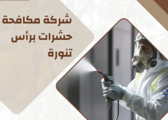 شركة مكافحة حشرات برأس تنورة 0554274877