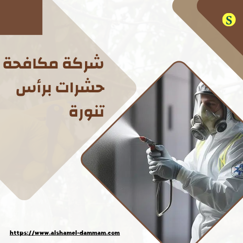 شركة مكافحة حشرات برأس تنورة