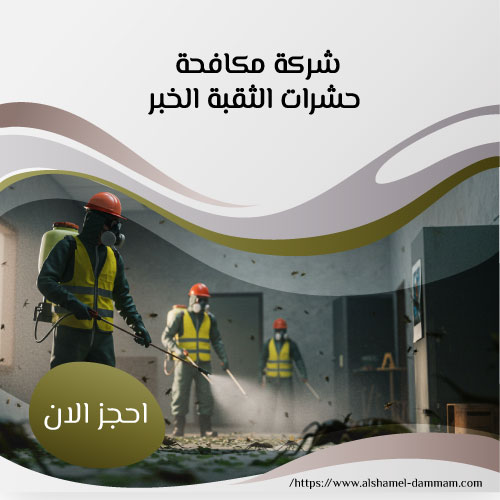 شركة مكافحة حشرات الثقبة الخبر