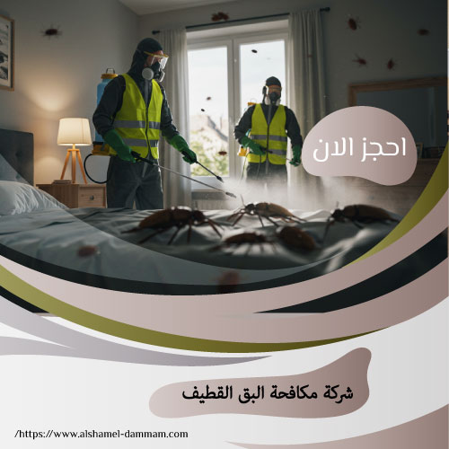 شركة مكافحة البق القطيف