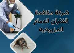 شركة مكافحة الفئران الدمام المزروعيه 0554274877 شركة مكافحة الفئران الدمام المزروعيه 0554274877