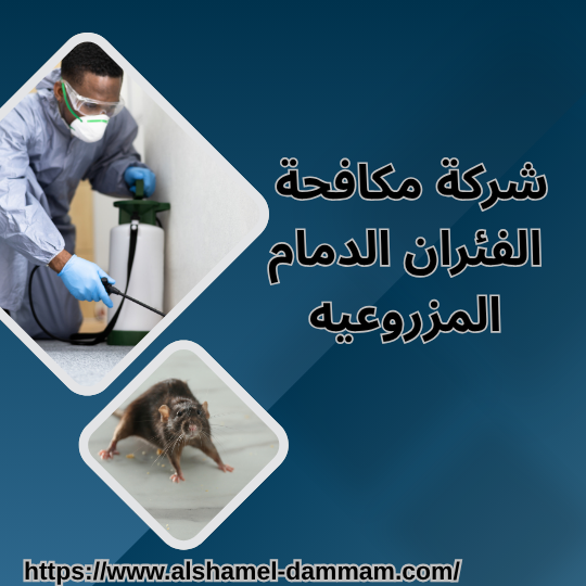 شركة مكافحة الفئران الدمام المزروعيه