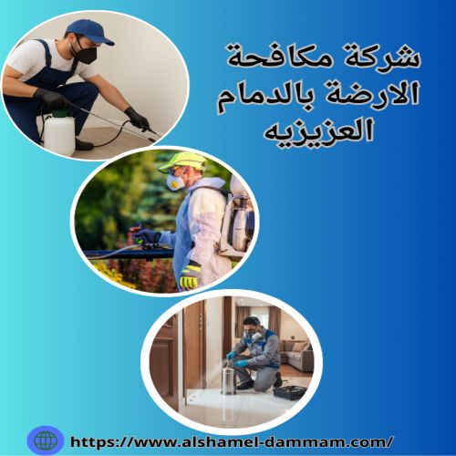 شركة مكافحة الارضة بالدمام العزيزيه