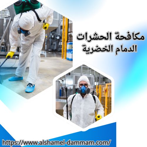 مكافحة الحشرات الدمام الخضرية