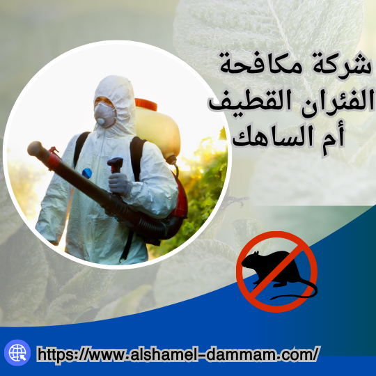 شركة مكافحة الفئران القطيف أم الساهك