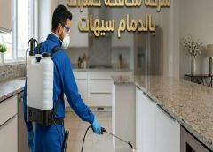 شركة مكافحة حشرات بالدمام سيهات 0554274877 شركة مكافحة حشرات بالدمام سيهات 0554274877