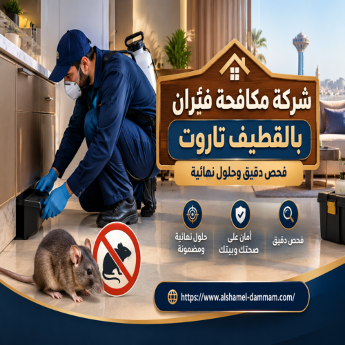 شركة مكافحة فئران بالقطيف تاروت – فحص دقيق وحلول نهائية