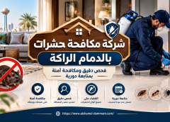 شركة مكافحة حشرات بالدمام الراكة| فحص دقيق ومكافحة آمنة بمتابعة دورية 0554274877
